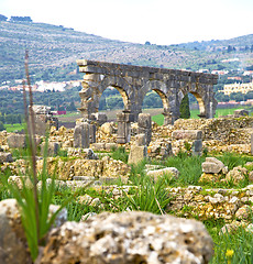 Image showing volubilis in morocco africa the old roman deteriorated monument 