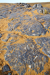 Image showing  old fossil in  the desert of morocco sahara and rock  