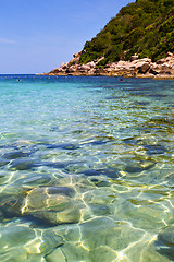 Image showing   asia   the bay kho tao    white  beach     