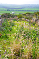 Image showing volubilis in africa the old monument and site