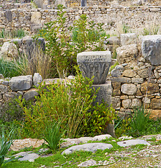 Image showing volubilis in morocco africa the old roman deteriorated monument 