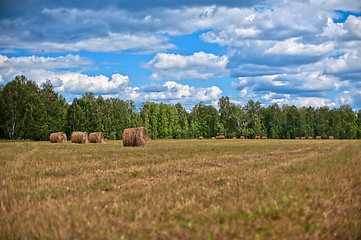 Image showing Haystacks