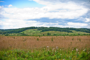 Image showing nature background