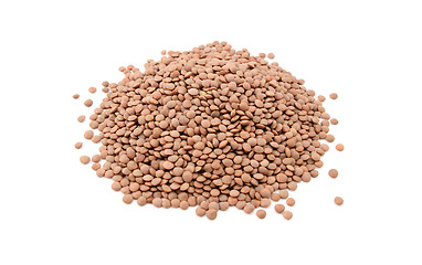 Image showing Brown lentils