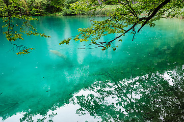 Image showing Clear water of Plitvice Lakes, Croatia