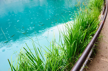 Image showing Clear water of Plitvice Lakes, Croatia