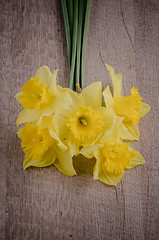 Image showing Jonquil flowers