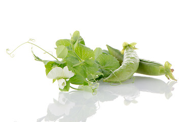 Image showing Fresh green pea pod