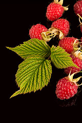 Image showing Fresh raspberries