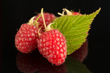 Image showing Fresh raspberries