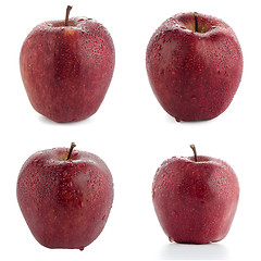 Image showing Ripe red apples