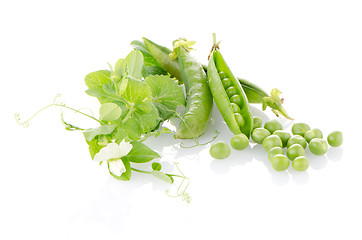 Image showing Fresh green pea pod