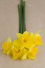 Image showing Jonquil flowers