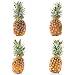 Image showing Pineapples