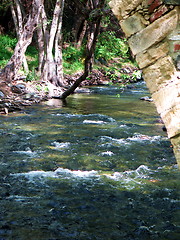 Image showing Water green. Cyprus