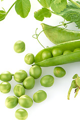 Image showing Fresh green pea pod