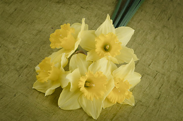 Image showing Jonquil flowers