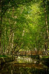 Image showing Park Natural serra Estrela - Portugal 