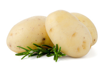 Image showing New potatoes and green herbs