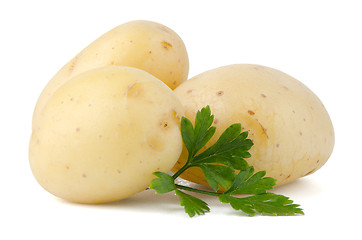 Image showing New potatoes and green parsley