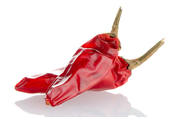 Image showing Two red hot chili pepper