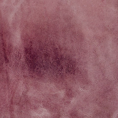 Image showing Pink suede