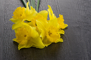 Image showing Yellow jonquil flowers