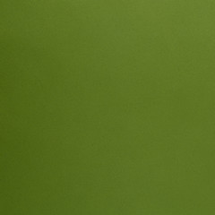 Image showing Green leather