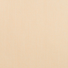 Image showing Beige vinyl texture