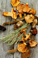 Image showing Dried Mushrooms
