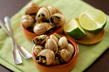 Image showing Snails with Garlic Butter