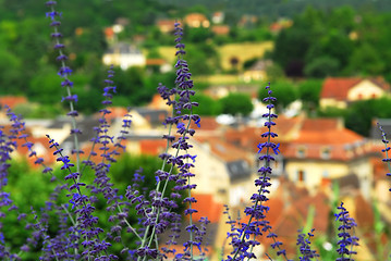 Image showing Rooftops in Sarlat, France