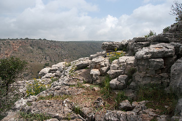 Image showing Spring season landscape