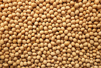 Image showing Soya beans, or soybeans background