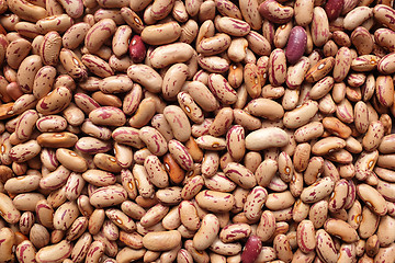 Image showing Borlotti beans, or cranberry beans background