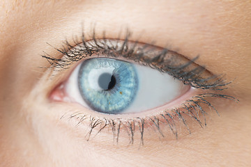 Image showing Closeup woman eye