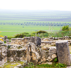 Image showing volubilis in morocco africa the old roman deteriorated monument 