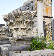 Image showing volubilis in morocco africa the old roman deteriorated monument 