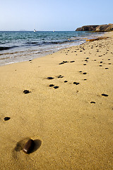 Image showing coastline lanzarote  in spain musk   yacht boat    summer 