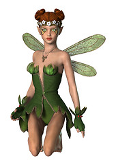 Image showing Spring Fairy