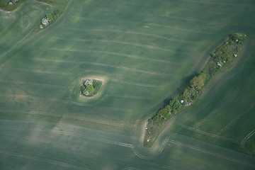 Image showing Fields and Meadows, Brandenburg, Germany