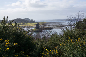 Image showing Castle Stalker, Scottland