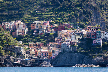 Image showing Manarola, Cinque Terre, Italy