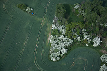 Image showing Fields and Meadows, Brandenburg, Germany