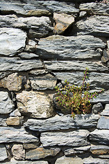 Image showing Wall