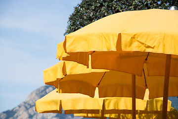 Image showing Yellow Parasol