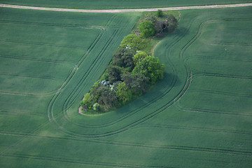 Image showing Fields and Meadows, Brandenburg, Germany