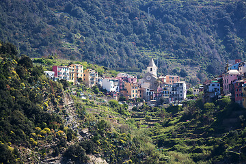 Image showing Corniglia, Cinque Terre, Italy