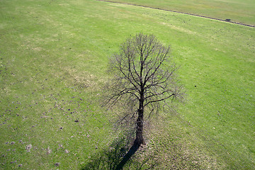 Image showing Field and Meadows