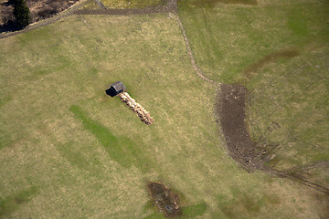 Image showing Field and Meadows